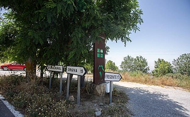 Imagen principal - El acceso a Fregenite está convenientemente señalizado (primero) | Un rincón del anejo (en segundo lugar) | Chica es la perra de Herminia, juguetona y cariñosa.