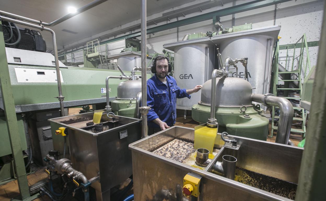 La cooperativa de aceite San Francisco de Asís, de Montefrío, en una imagen de archivo. 