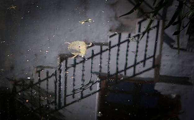 Imagen principal - Detalles del Carmen. 