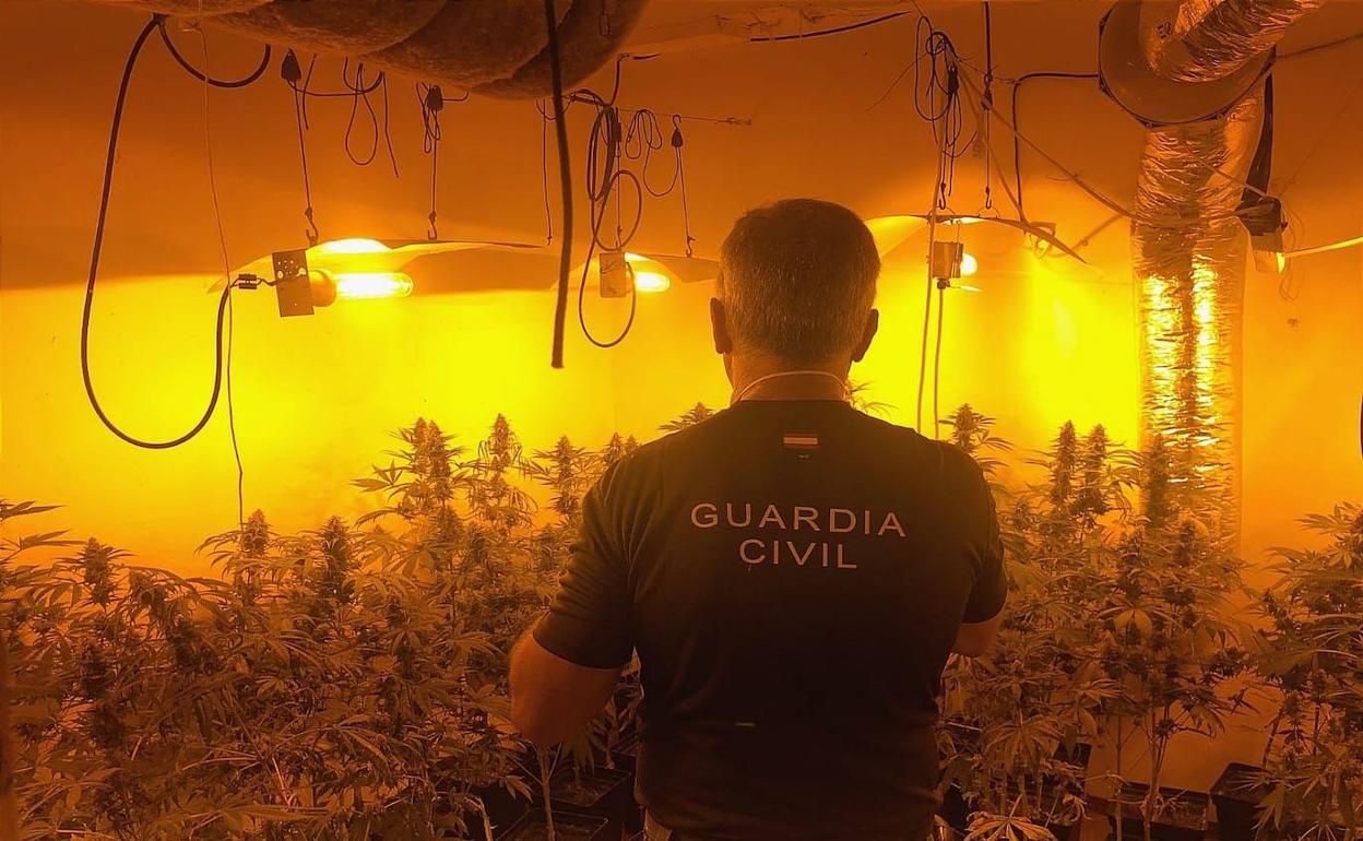 Incautación de droga en Granada.