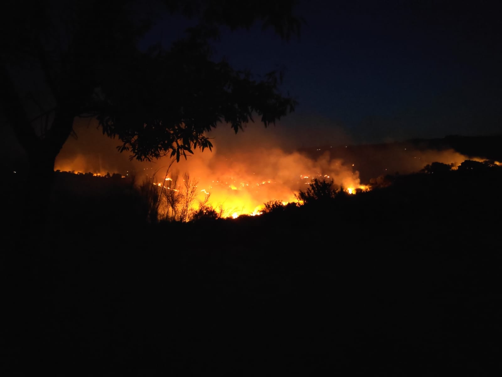 Fotos: El fuego quema el Barranco de San Jerónimo