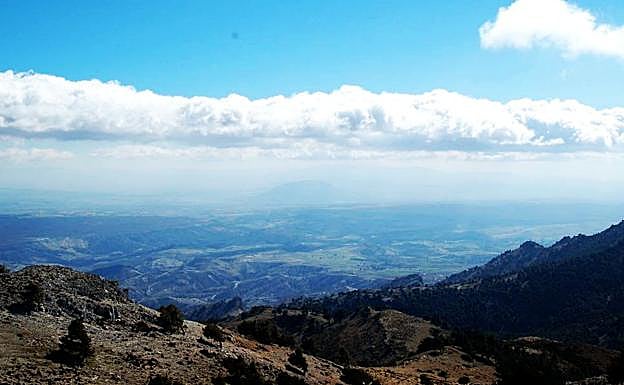 Imagen principal - Un ascenso entre pinares por el Cerro del Buitre de Granada
