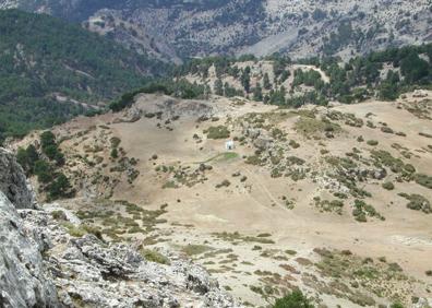 Imagen secundaria 1 - Un ascenso entre pinares por el Cerro del Buitre de Granada