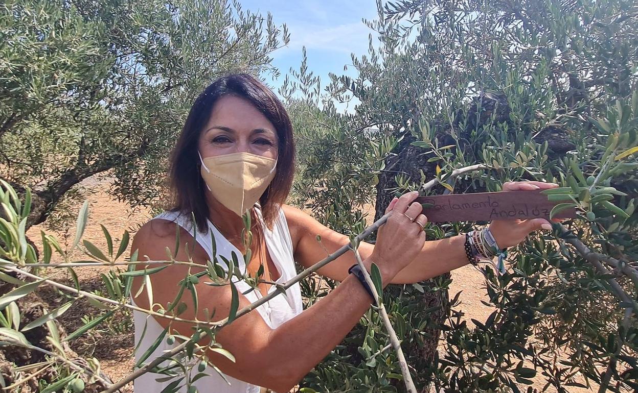 La presidenta del Parlamento con el olivo escogido. 