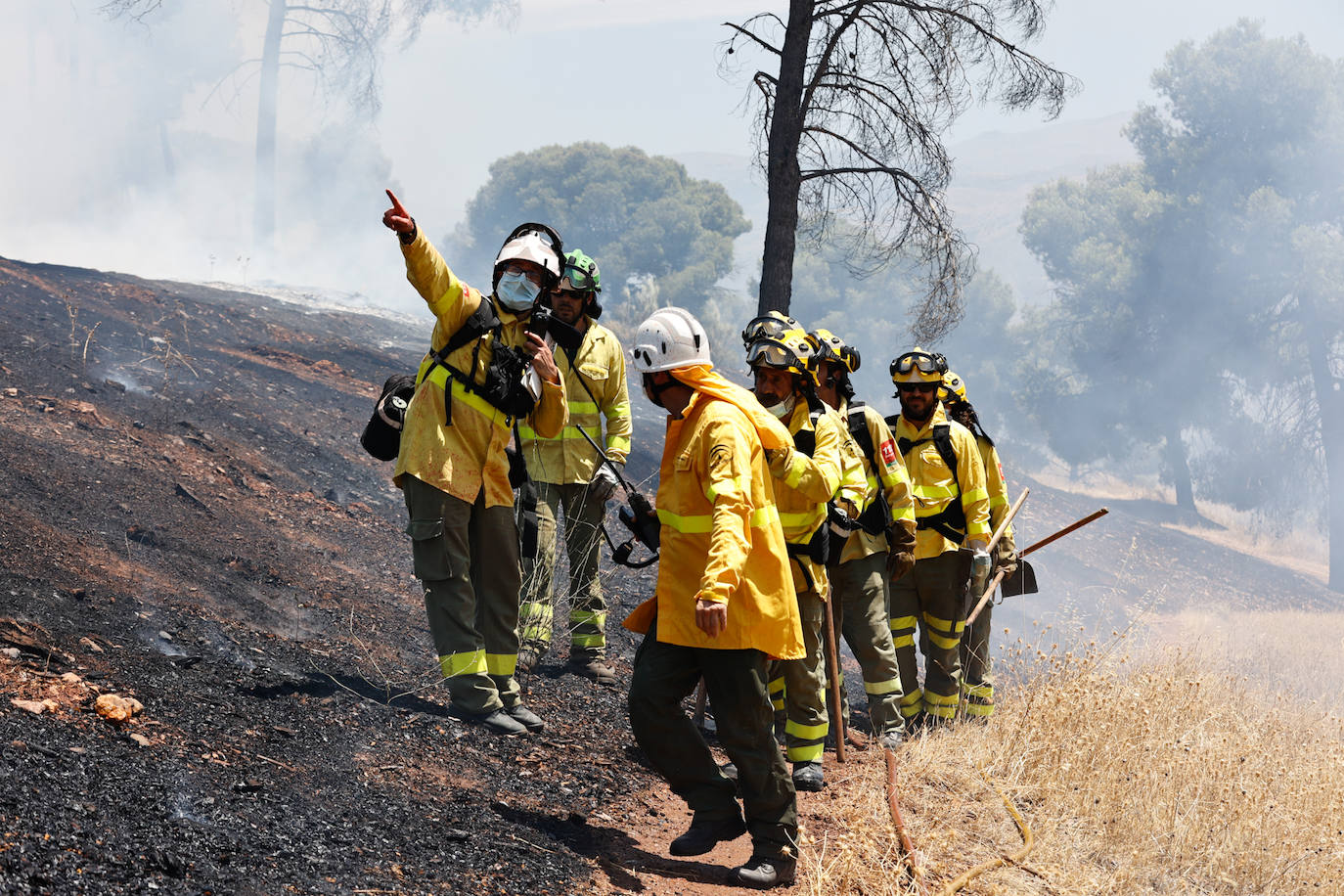 Las imágenes del incendio declarado este sábado en el popular enclave de la ciudad granadina