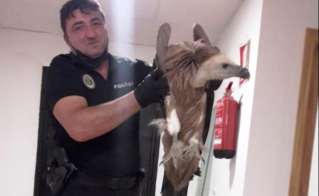 El agente Salvador Segura, con el animal rescatado en Quesada. 