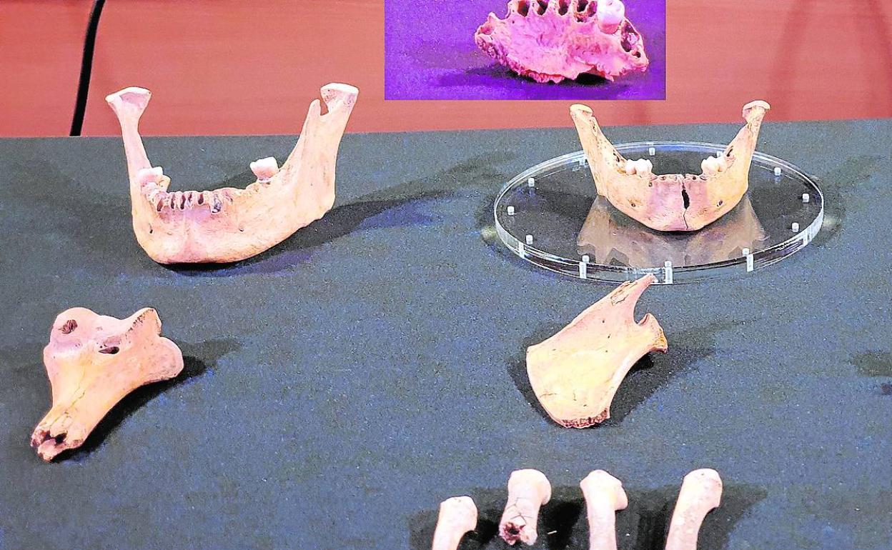 Algunos de los restos óseos encontrados en el río Cuadros.