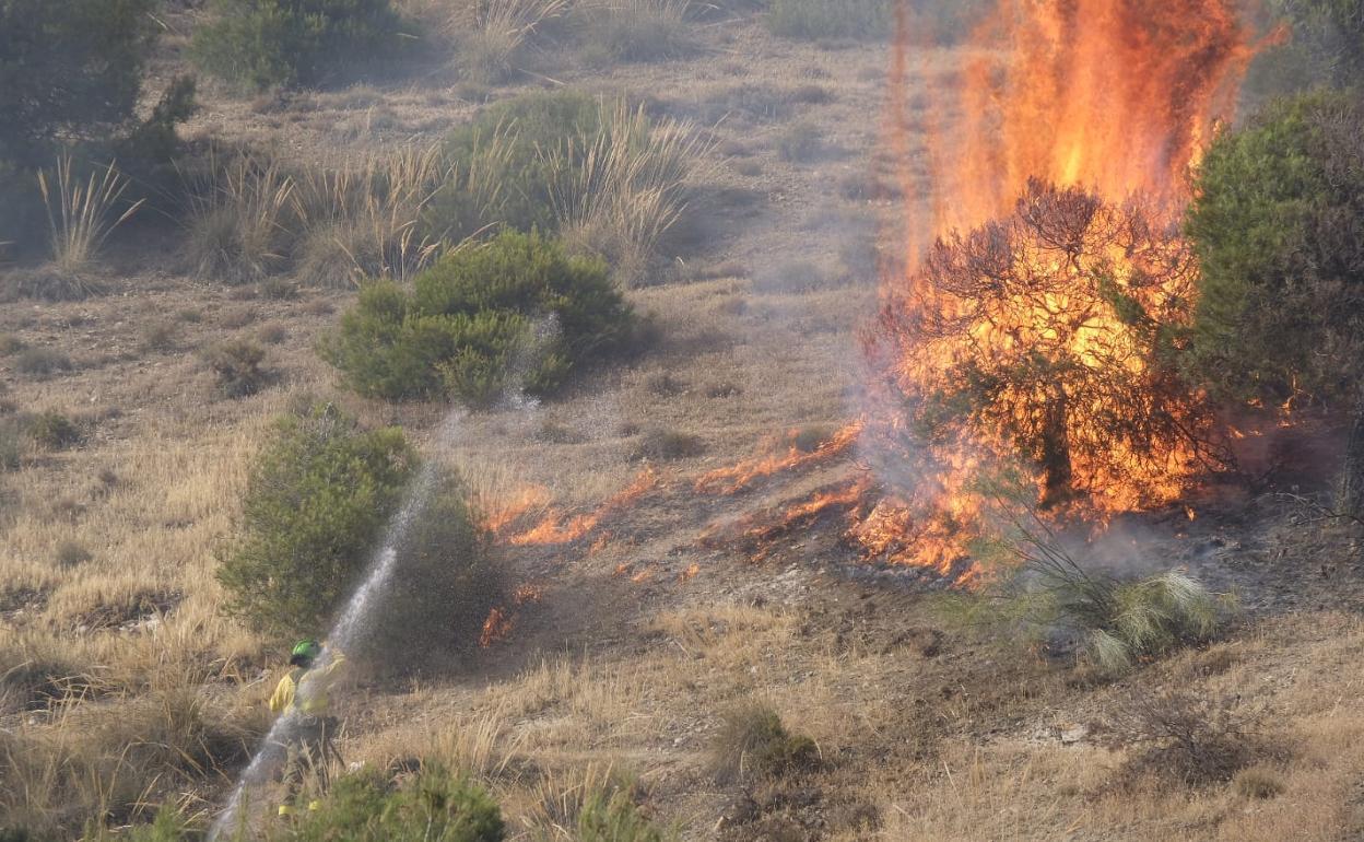 Incendio forestal en Granada. 