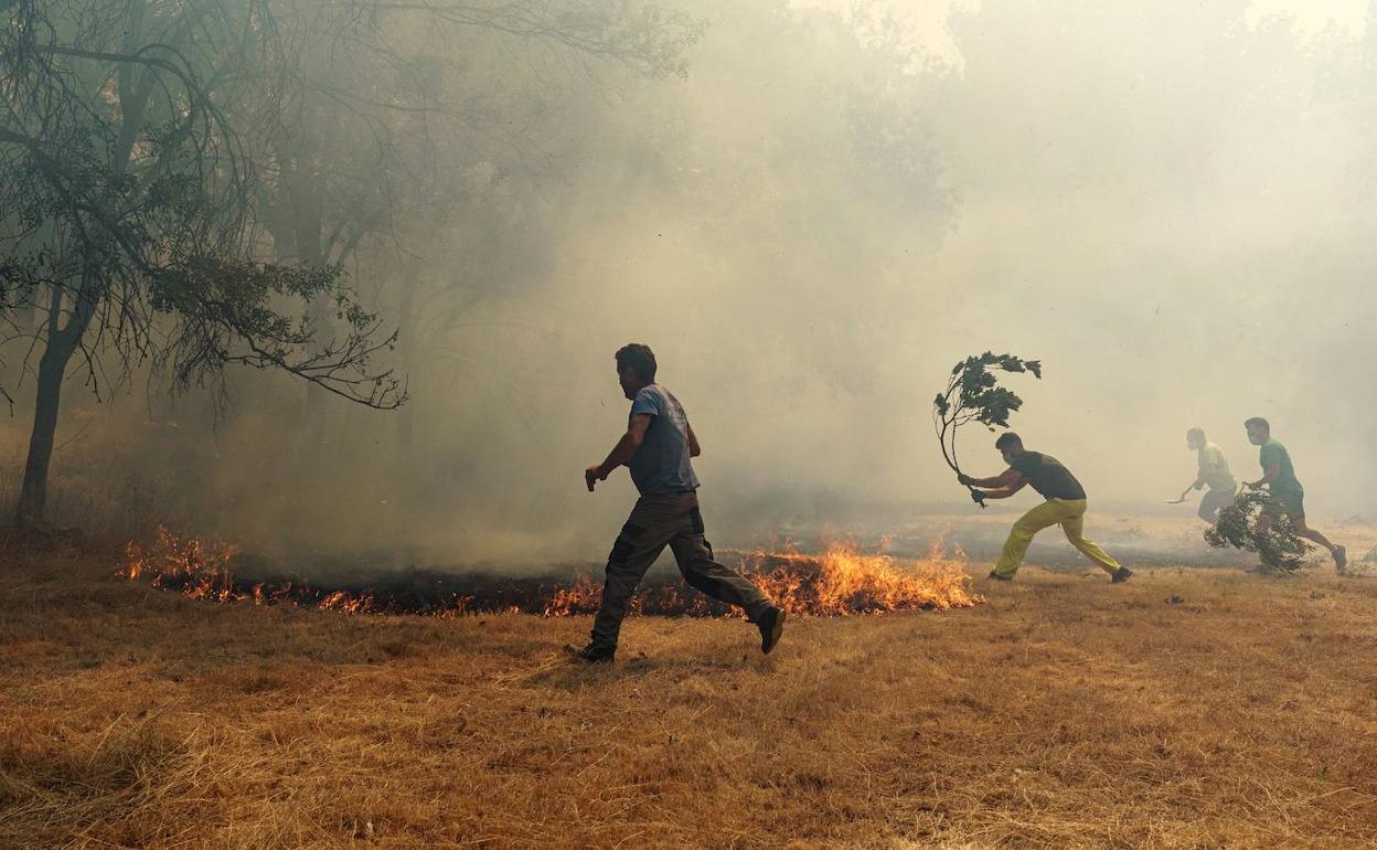 Los vecinos luchan contra el fuego en Navalacruz (Ávila).