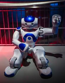 Imagen secundaria 2 - Detalles de la exposición. 