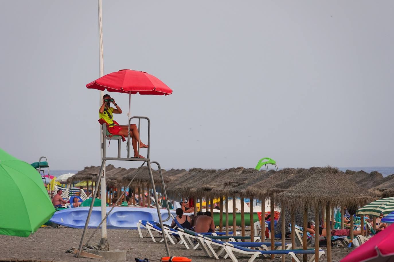 Fotos: Ls socorristas atienden un millar de picaduras de medusa en la costa granadina