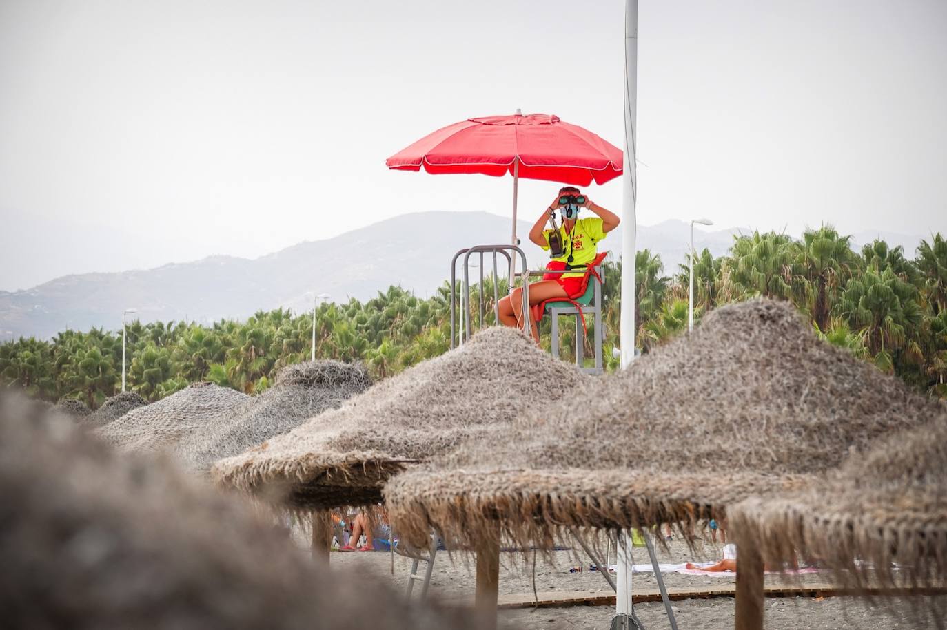 Fotos: Ls socorristas atienden un millar de picaduras de medusa en la costa granadina