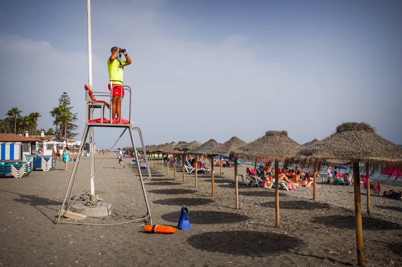 Fotos: Ls socorristas atienden un millar de picaduras de medusa en la costa granadina