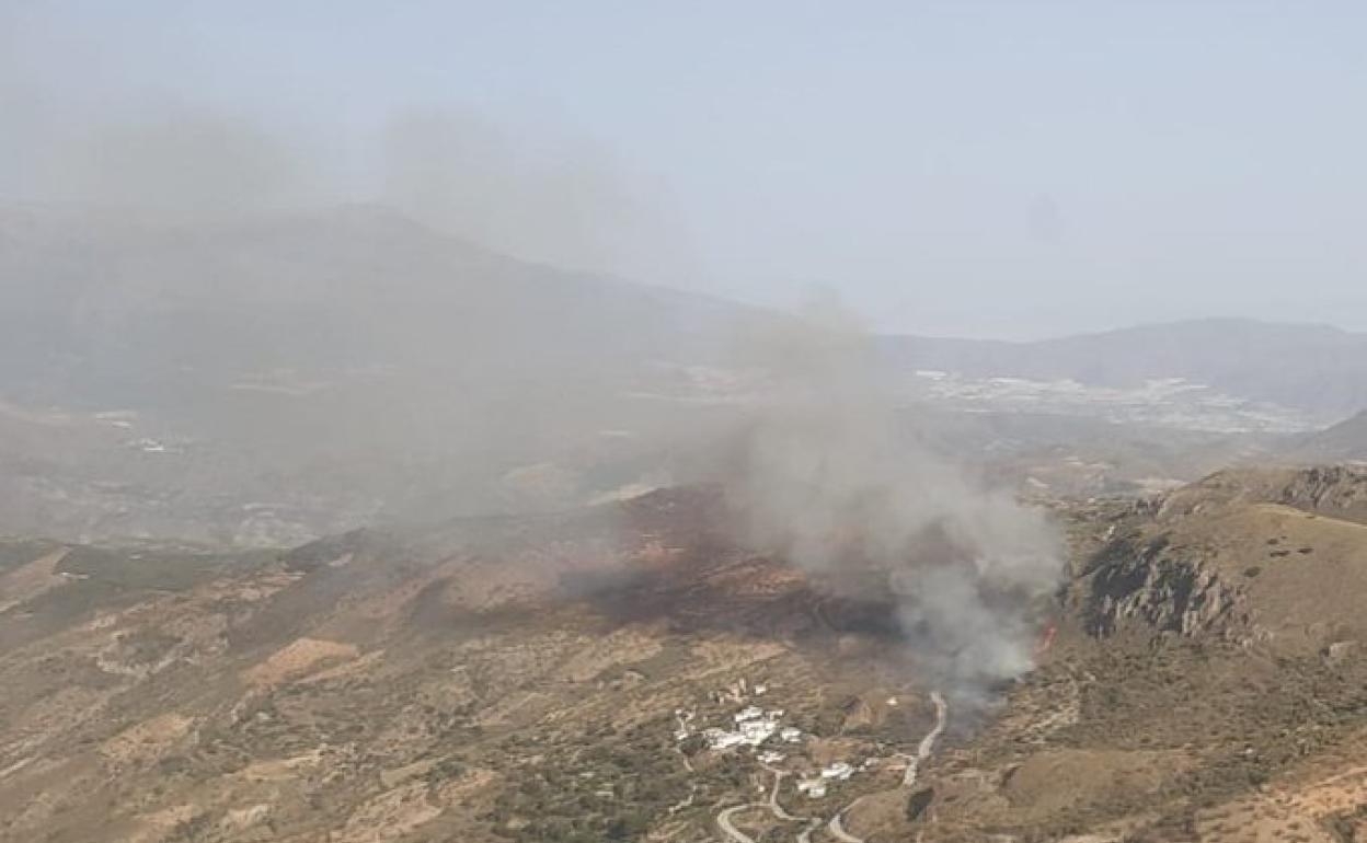 Incendio forestal en Murtas.