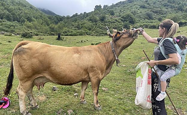 Lucía divide sus días entre el valle y la alta montaña siguiendo los pasos del ganado, como antes su suegra o su abuela