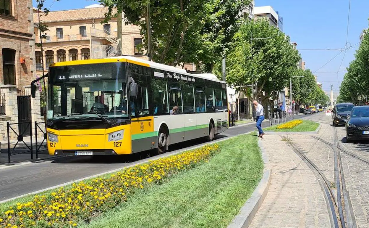 Autobuses Castillo Presenta Recurso En El Tsja Contra La Ejecución De Sentencia Ideal 9917