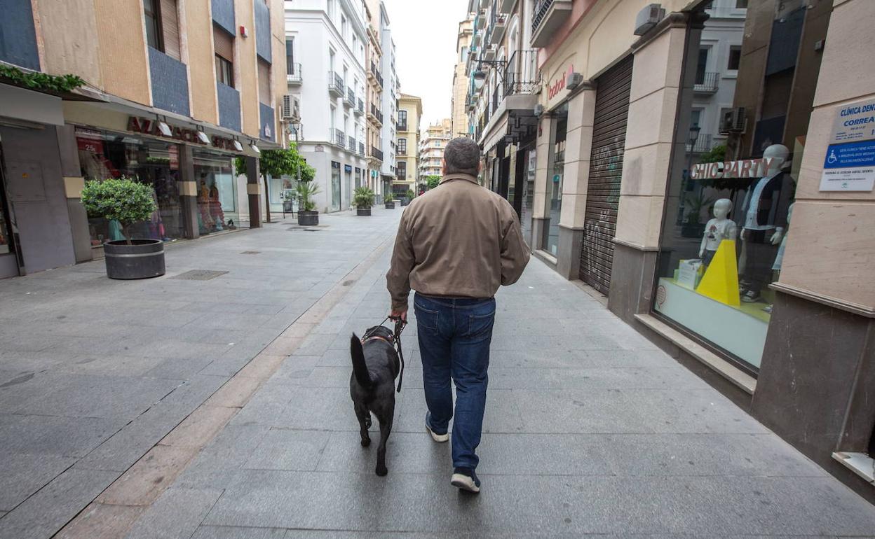 Un invidente camina por una calle de Granada con su perro guía.