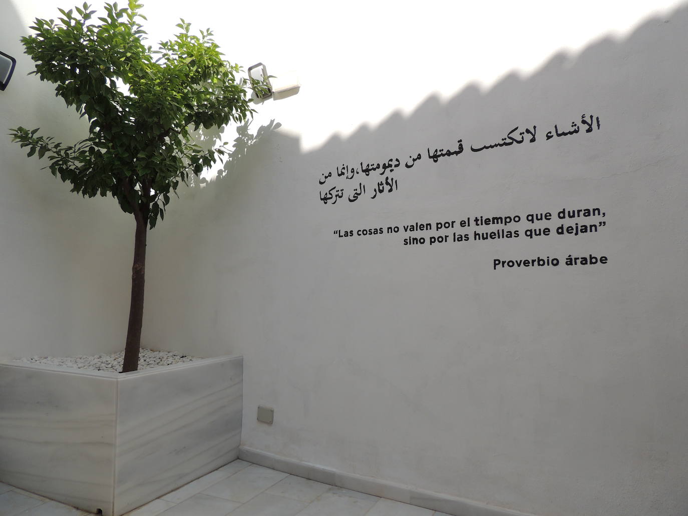 Fotos: Los Baños del Naranjo de Jaén reabren medio siglo después