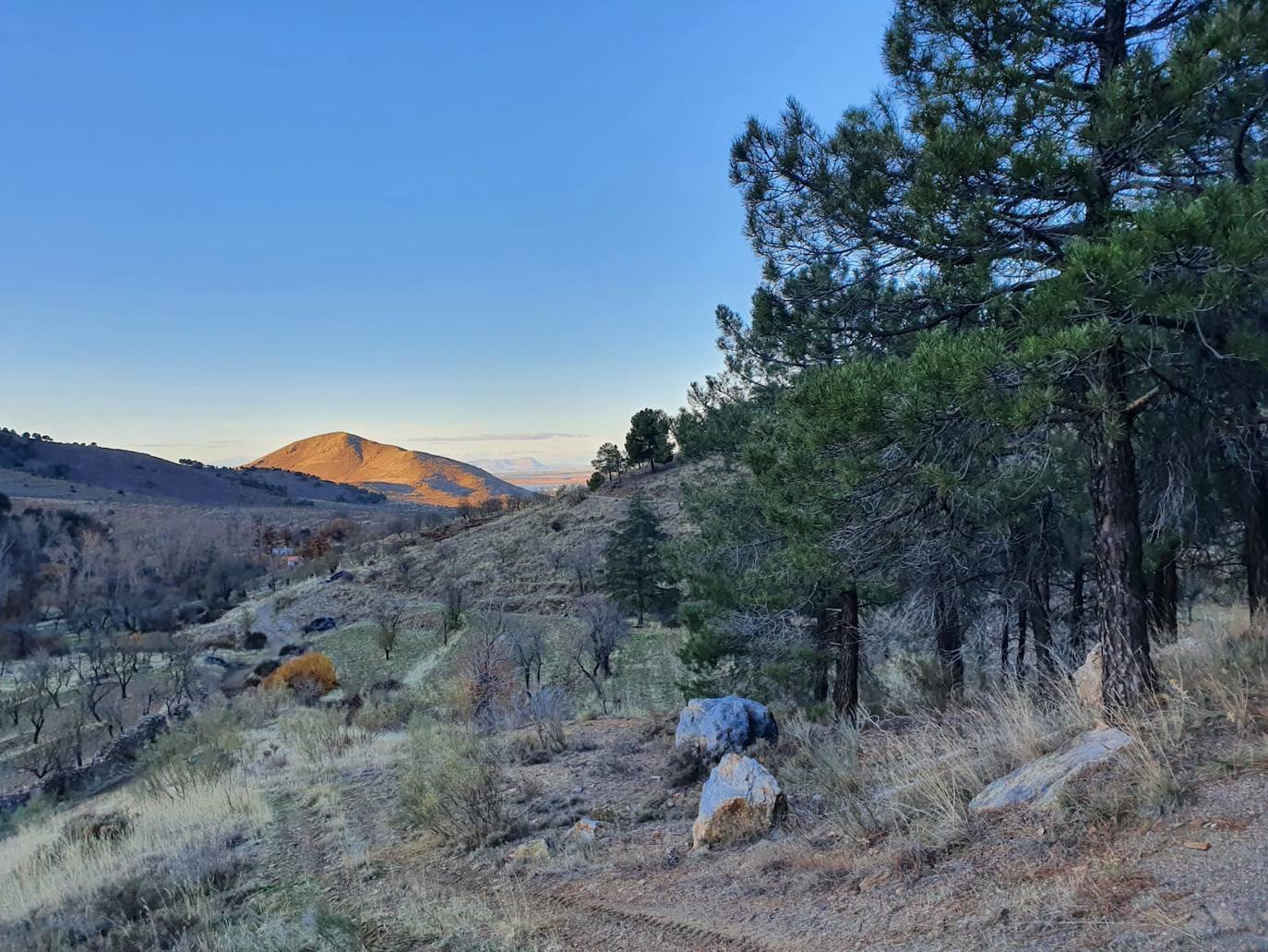 El bosque de Aldeire.
