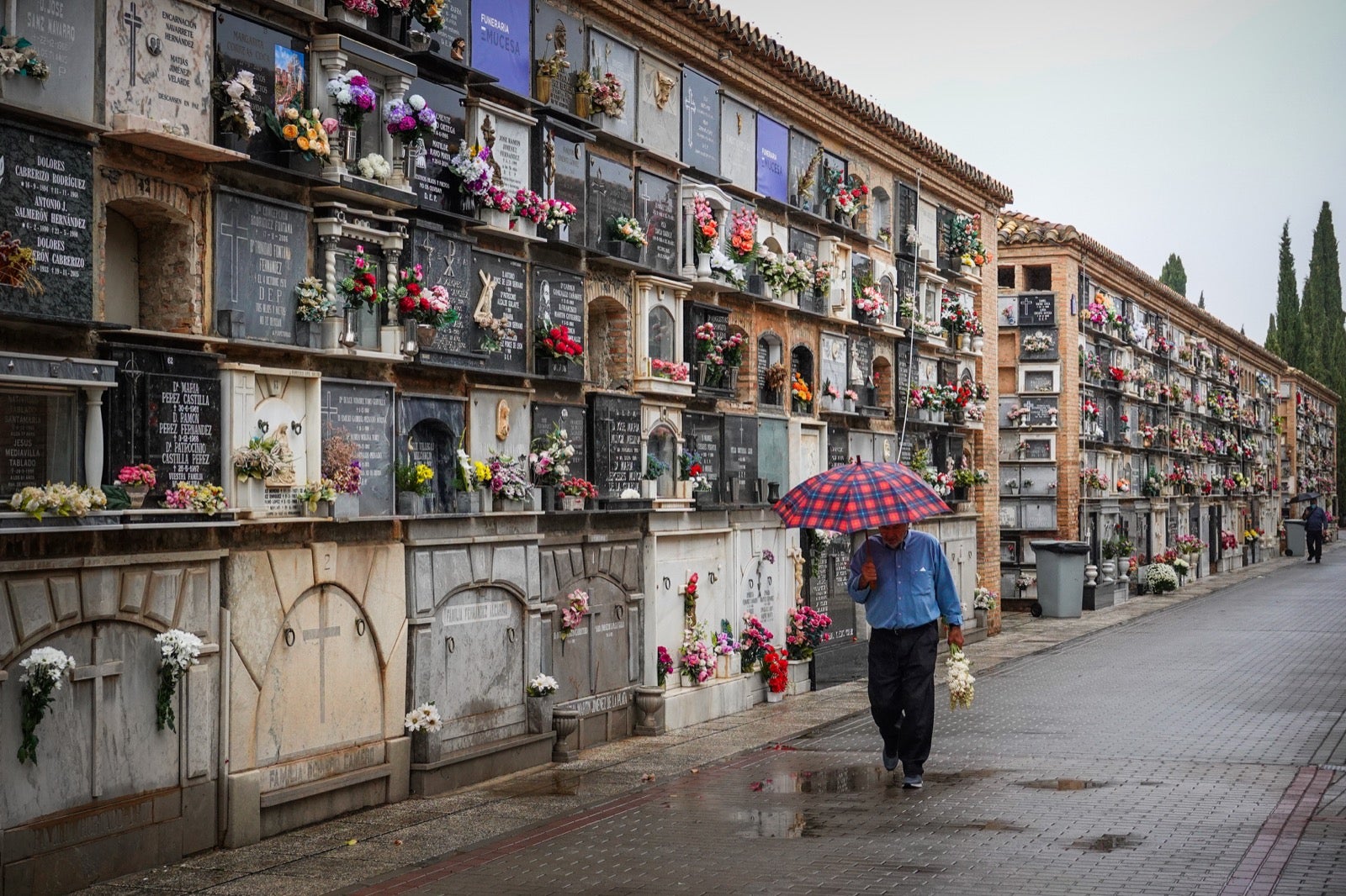 Los granadinos acuden al cementerio con flores en el día de Todos los Santos.