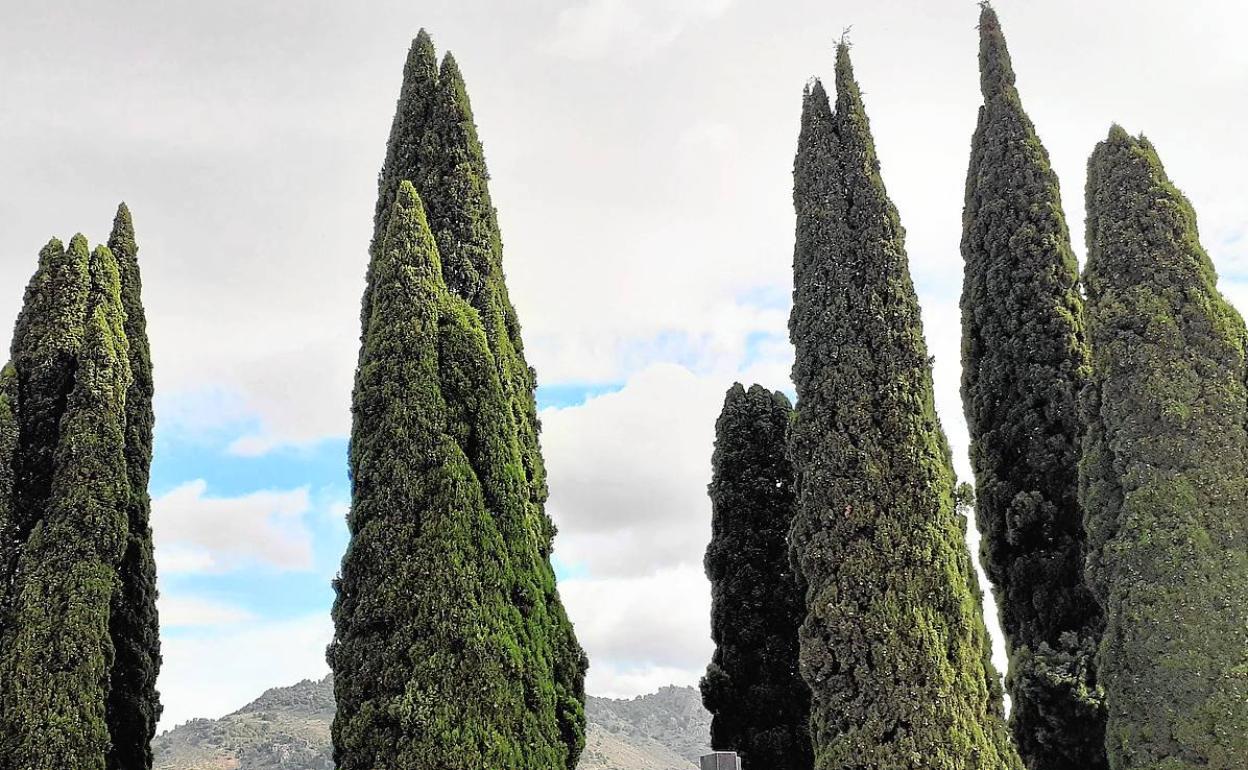 Conversaciones entre vivos y muertos