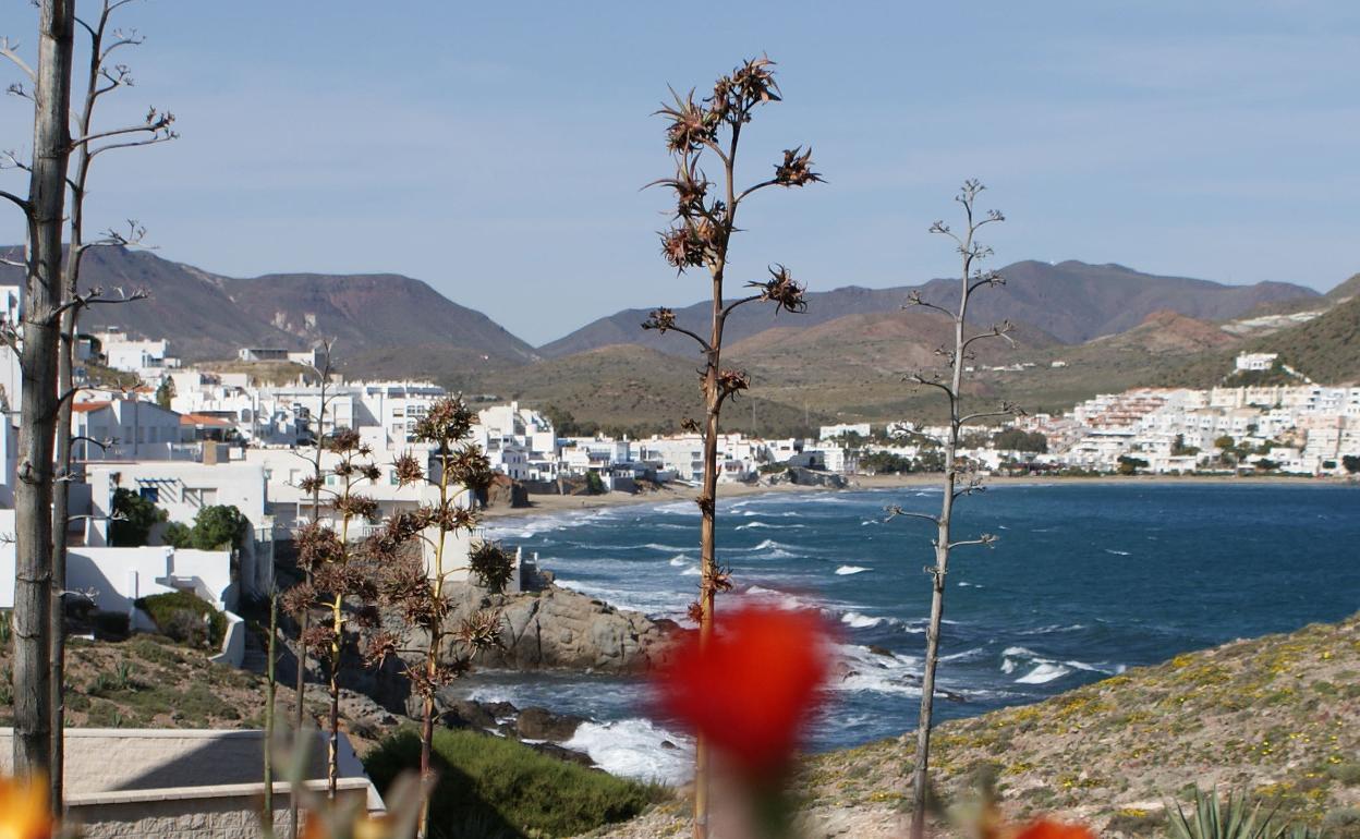 El Medio Ambiente en el Antropoceno