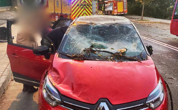 Cae un árbol sobre un vehículo que circulaba por la Carretera de la Sierra