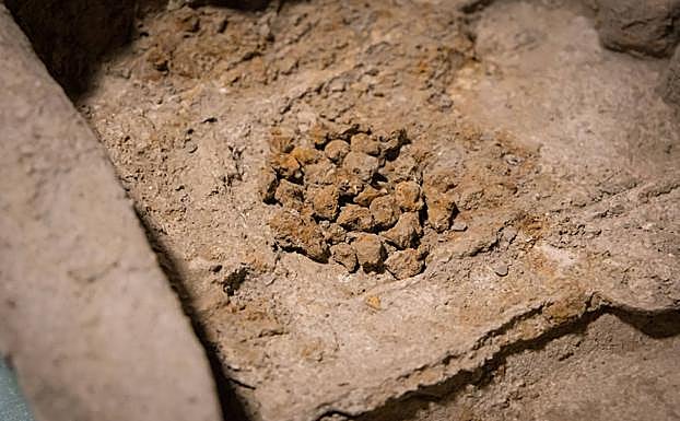 Tachuelas halladas dentro del sarcófago. 