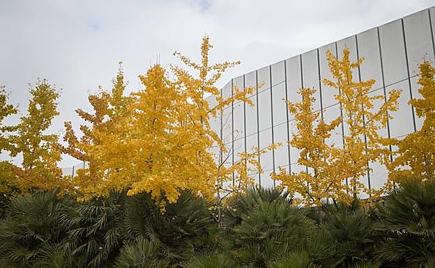 Detalle de la fachada del Parque de las Ciencias. 