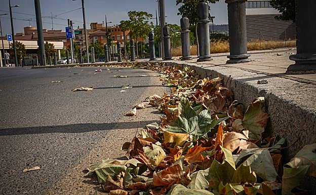El cambio de tiempo que sufrirá Andalucía al inicio de semana