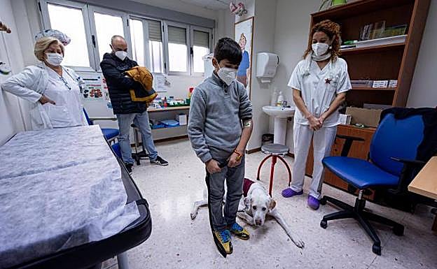 Tras la extracción, Niebla continúa disipando los nervios del paciente. 