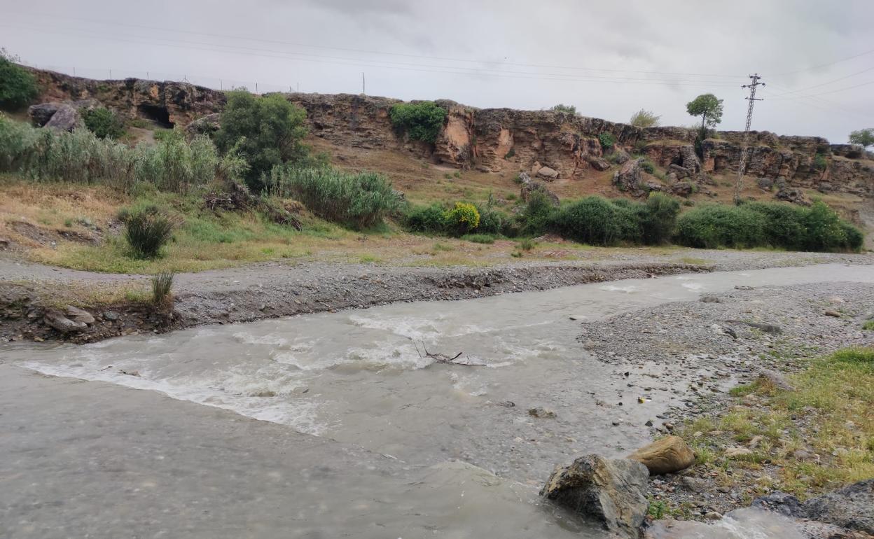 La Diputación y LIFE impulsan la restauración integral de 12 kilómetros del cauce del río Dílar