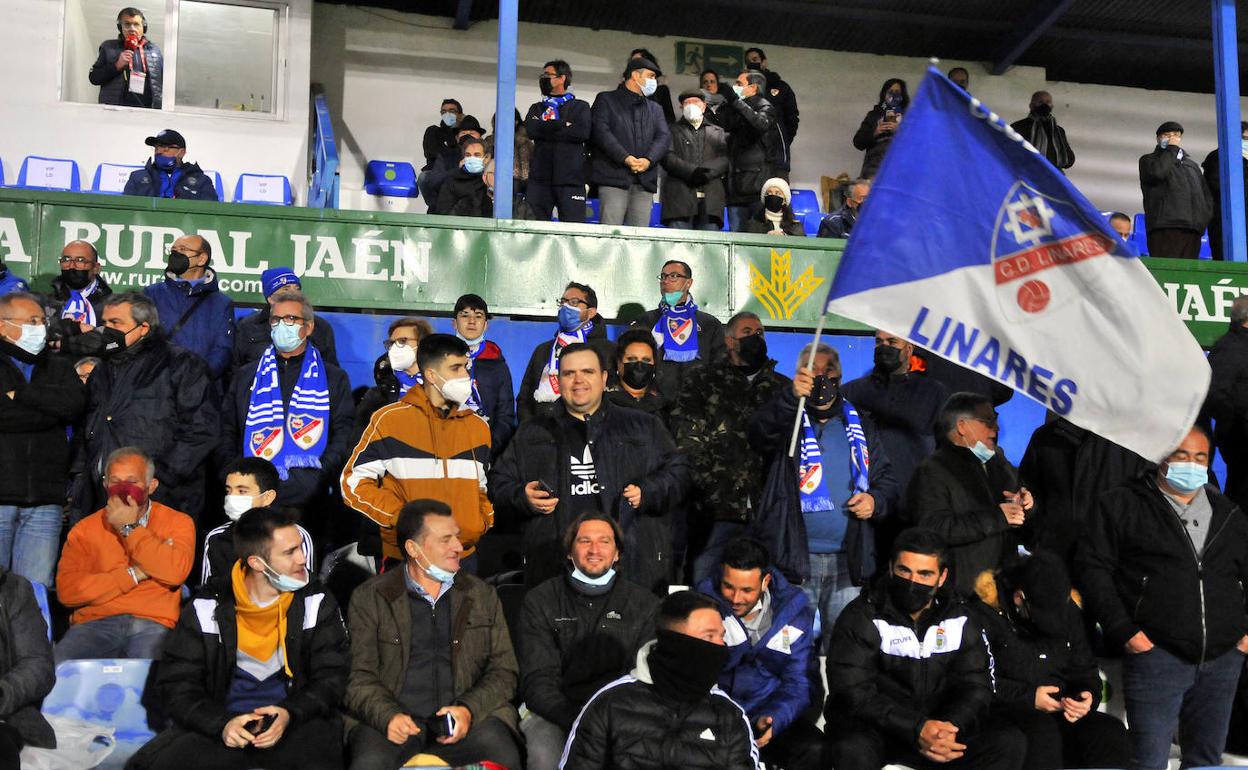 Aficionados 'azulillos' apoyan al Linares Deportivo, en el partido de Copa del Rey que le enfrentó al Alavés, desde la tribuna del Estadio Municipal de Linarejos. 