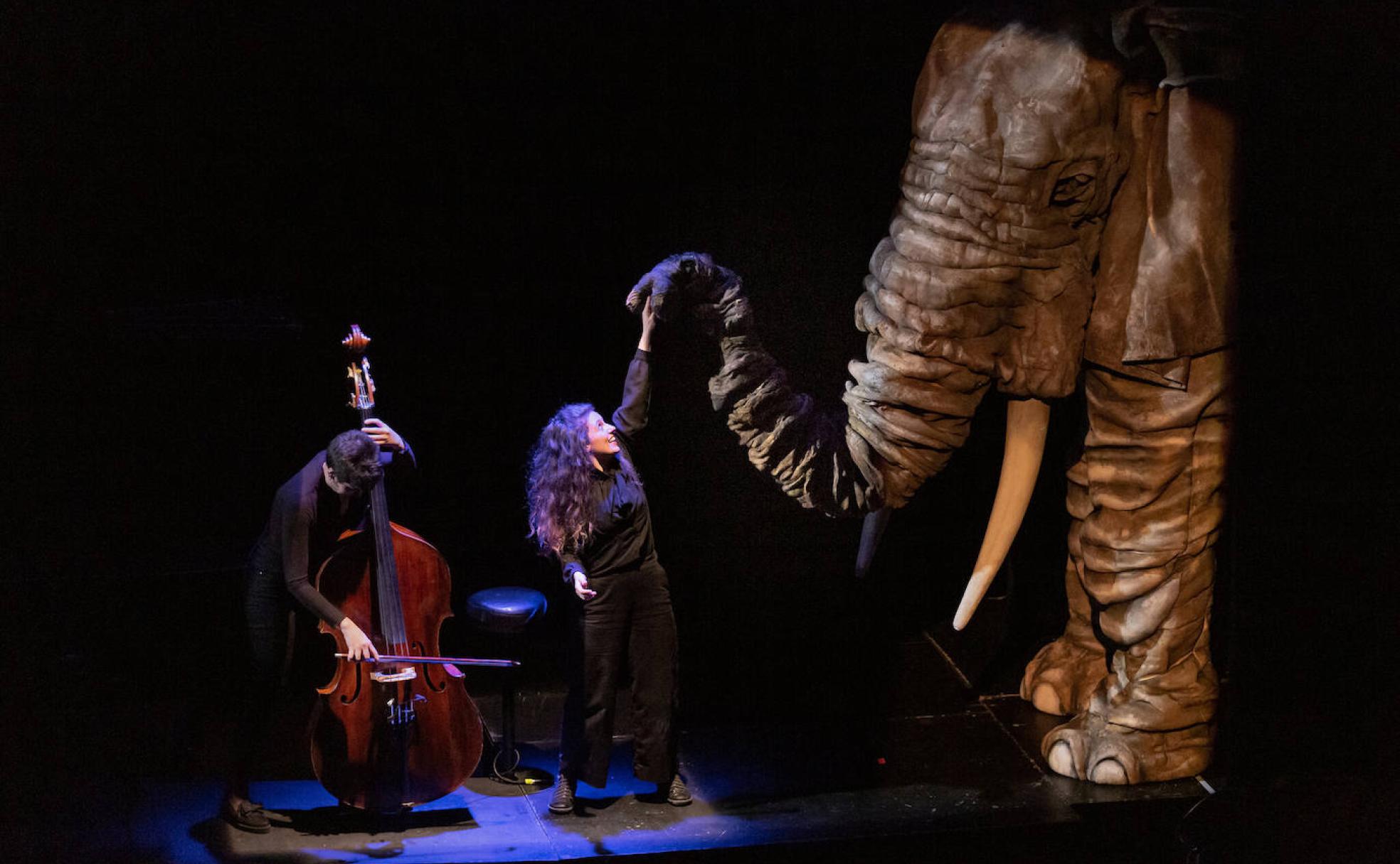 'Soñando el carnaval de los animales' en el Palacio de Congresos los días 25, 26, 27 y 28. 