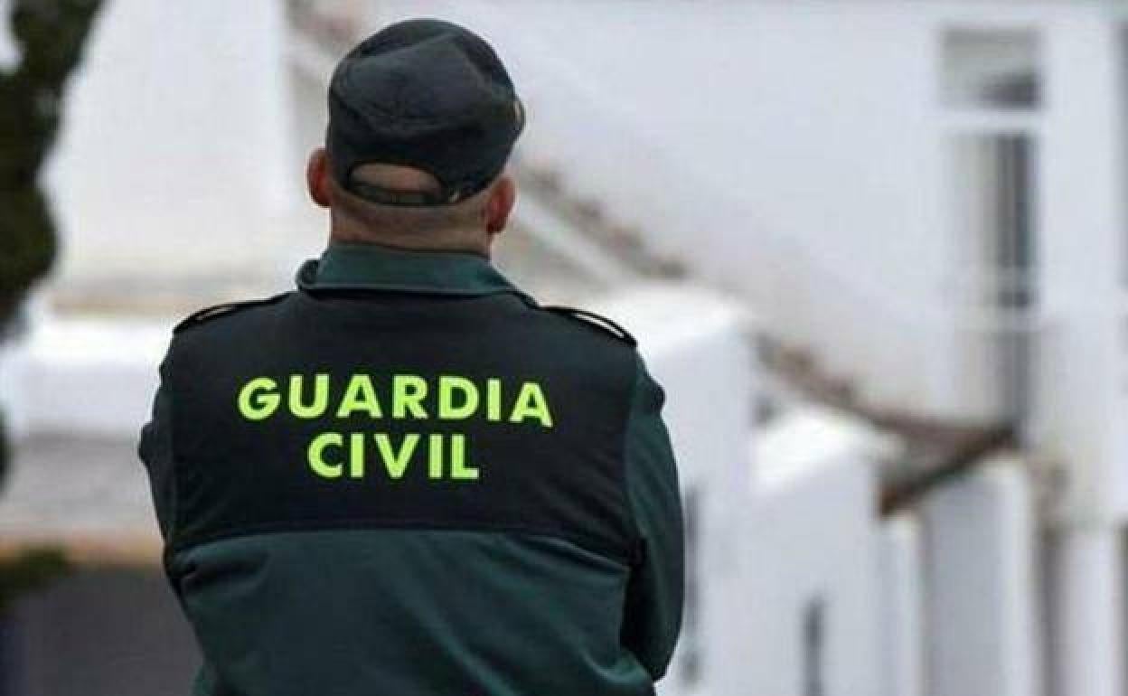 Detienen en La Herradura a un sueco investigado por fraude fiscal en 43 ocasiones