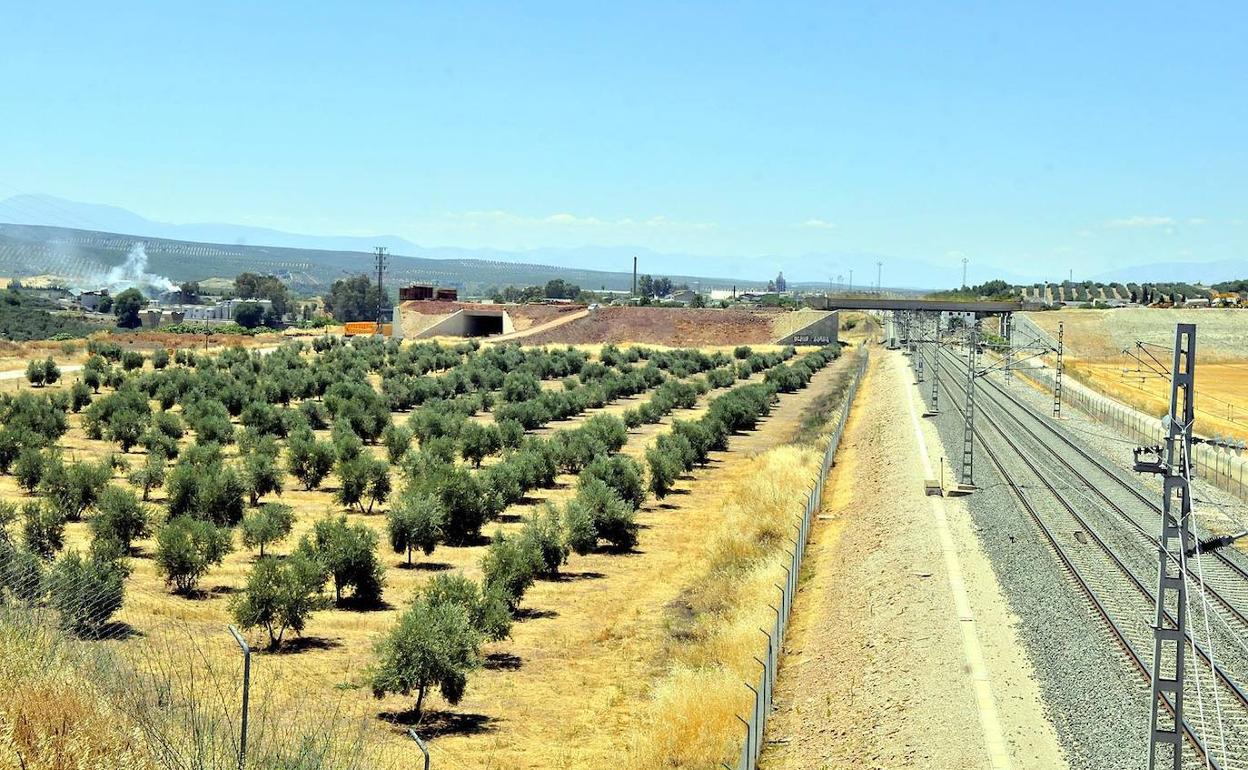 Terrenos que fueron adquiridos para el puerto seco de Linares. 