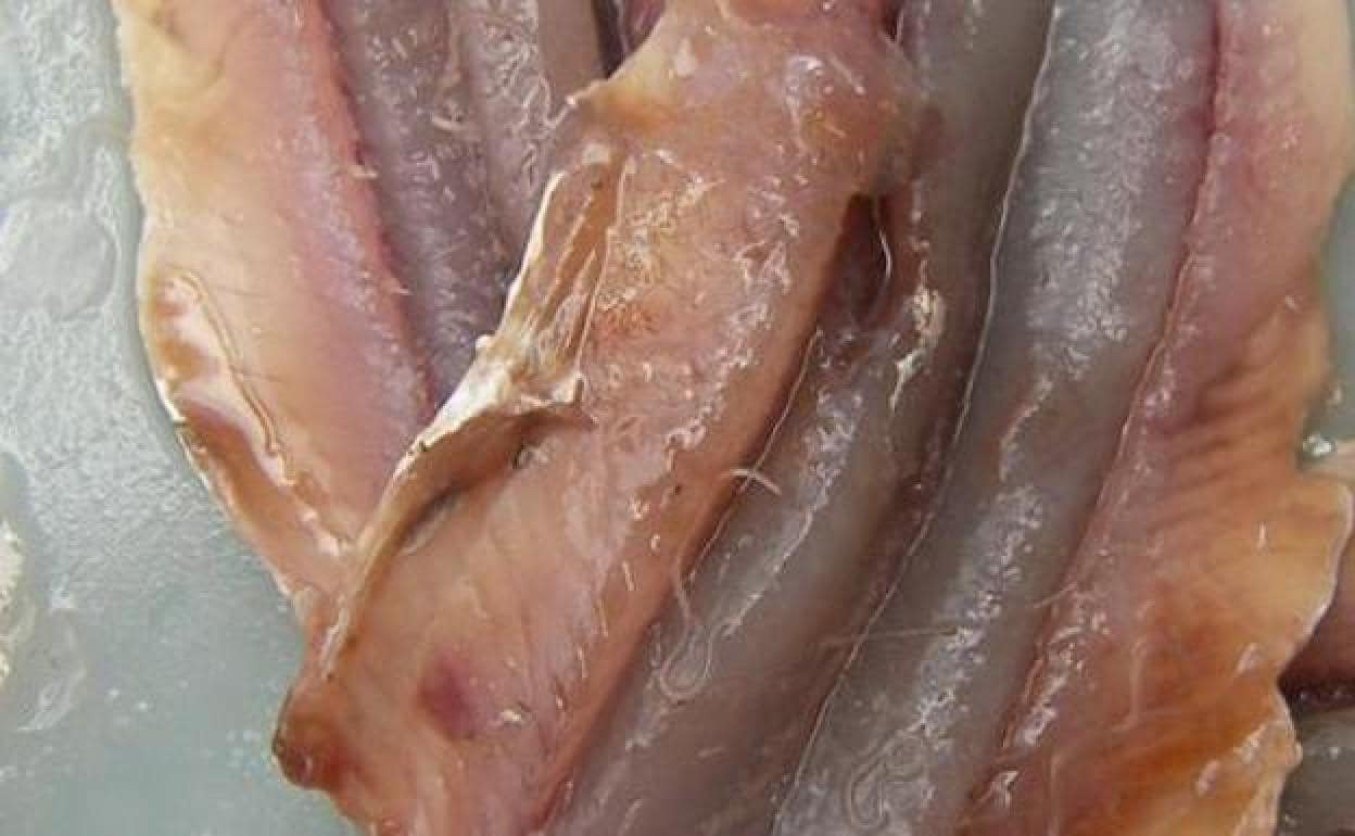 Contaminado Muñeco de peluche animación La OCU avisa sobre qué pescados hay que congelar para evitar el anisakis |  Ideal