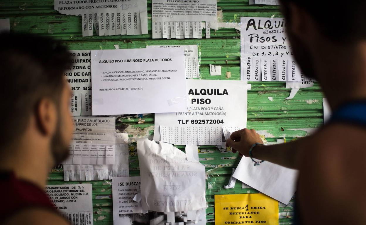 Una mujer observa ofertas inmobiliarias en una imagen de archivo.