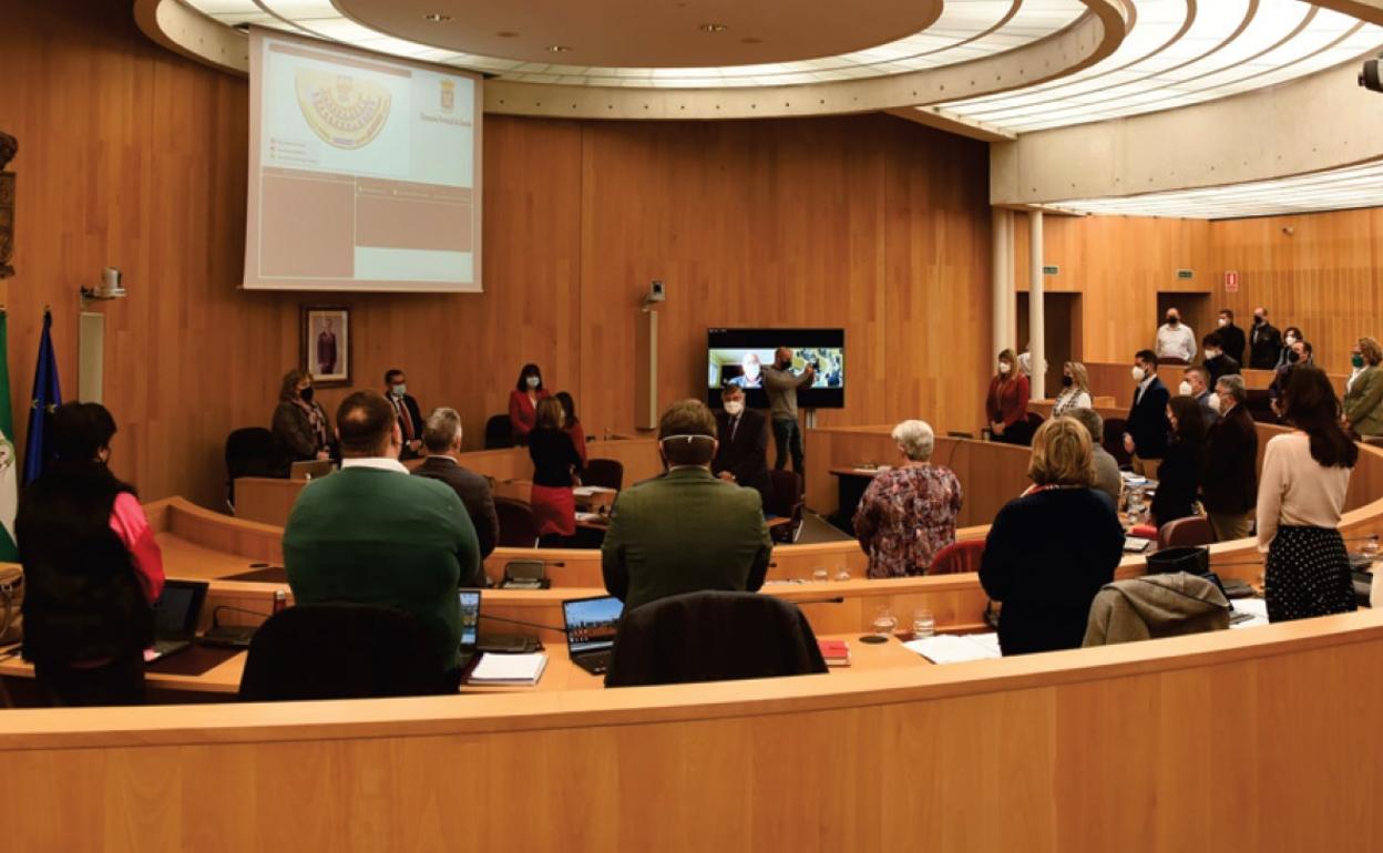 Minuto de silencio en el pleno de enero de la Diputación de Granada