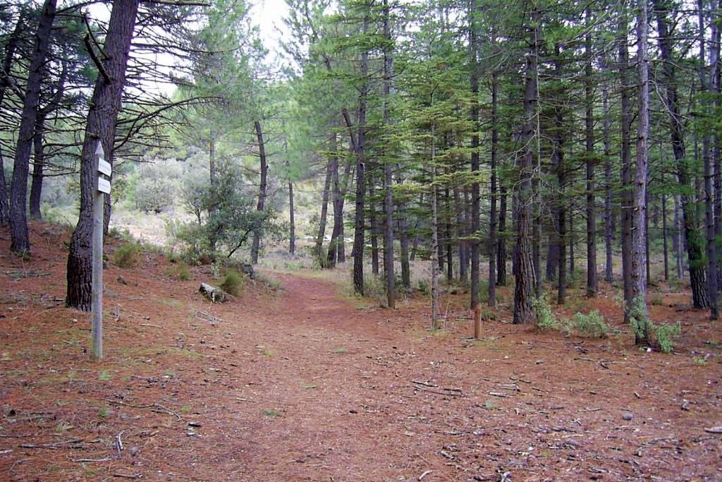 La Cañada del Sereno, en Víznar.