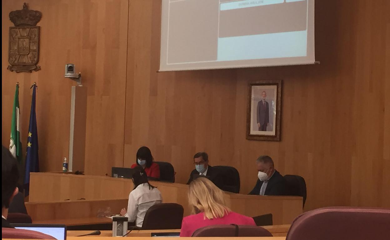 Pleno de Diputación. 