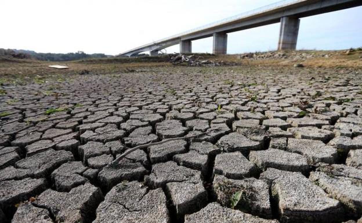 Meteorología | Andalucía, cerca de la sequía agrícola por la falta de lluvias