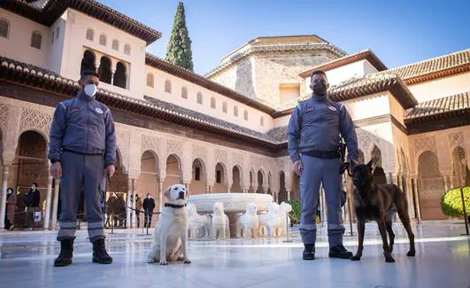 En el patio de los Leones. 