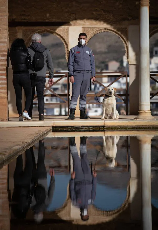 Reflejos en el estanque. 