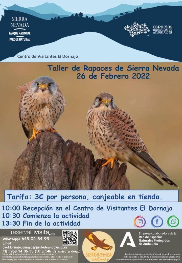 Actividades con rapaces en El Dornajo'