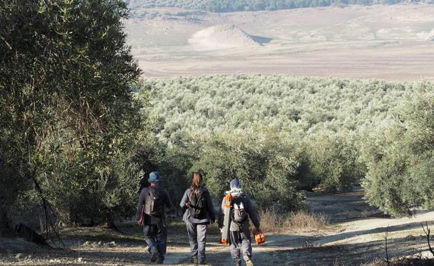 Camino de la zona de los yacimientos. 