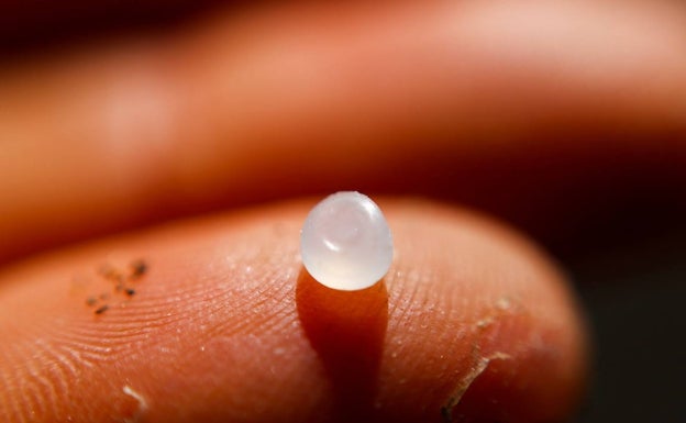 Microplástico recogido en una playa de Gran Canaria tras tamizar la arena. 