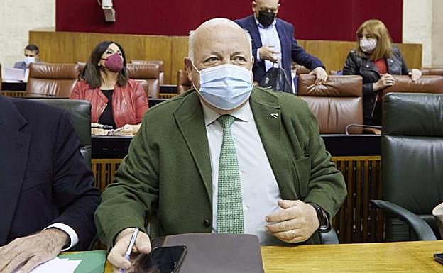 Aguirre prevé mascarillas para «las bullas» en Semana Santa «pero poquita cosa más»