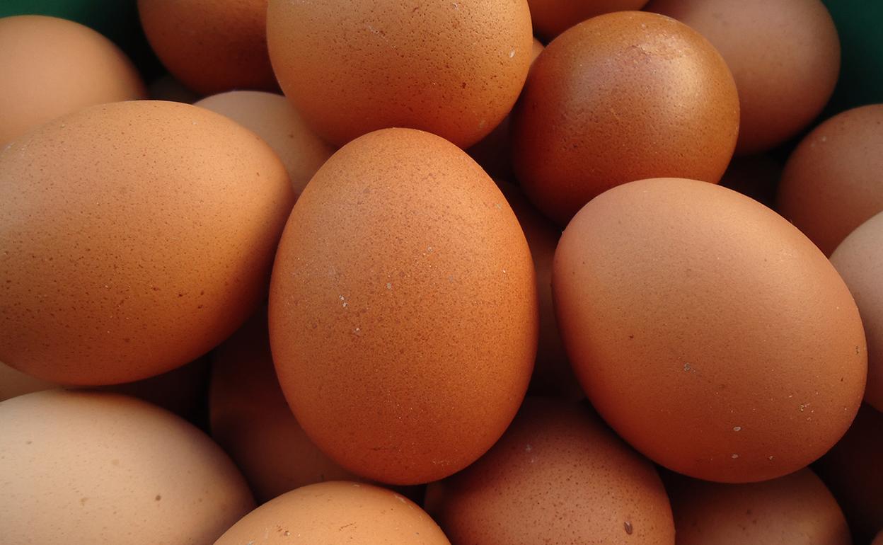 Un lote de huevos ha generado varios casos de salmonela