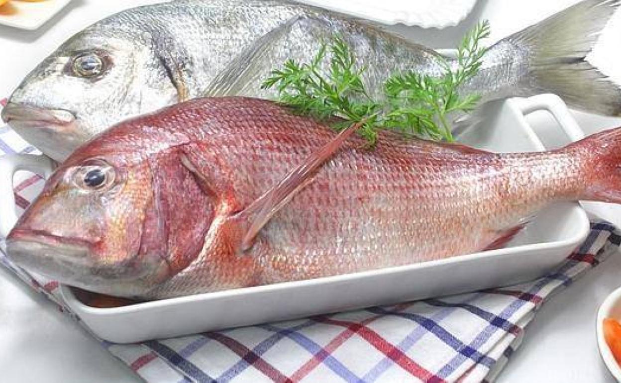 La OCU advierte del riesgo de intoxicación al consumir algunos pescados